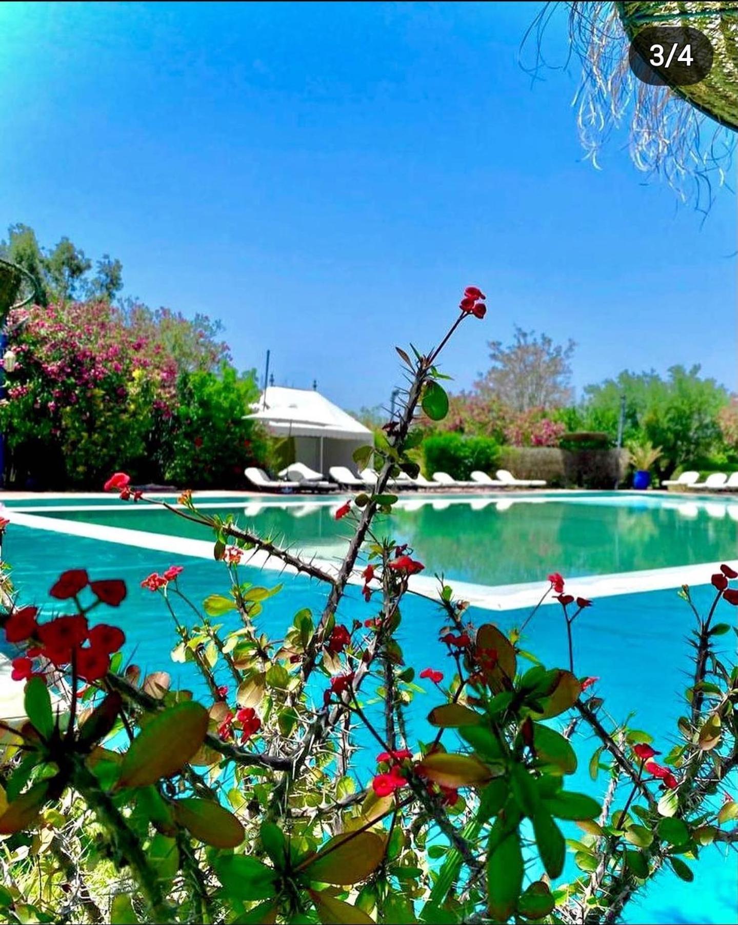 Les Jardins D Isis Hotel Маракеш Екстериор снимка